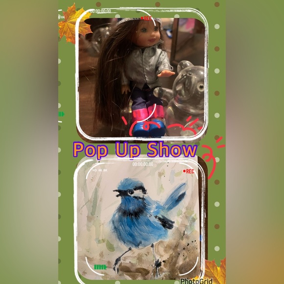 Meet your Posher, Luz - Picture 6 of 11